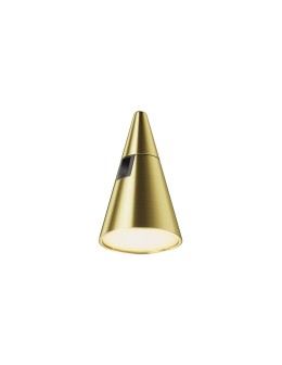 Maytoni Keila Flarity LED Rail Lamp 250lm 2700K Brass TR146-1-5W2.7K-BS-DE