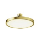 Flarity System Lamps - Maytoni Plato LED Flarity Rail Plate Lamp 400lm 2700K Brass TR153-1-10W2.7K-BS-DE - product 1