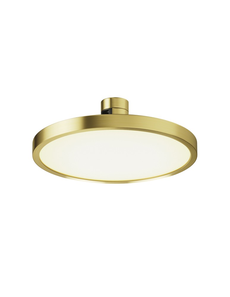 Flarity System Lamps - Maytoni Plato LED Flarity Rail Plate Lamp 400lm 2700K Brass TR153-1-10W2.7K-BS-DE - product kolory-swiatla.pl 1