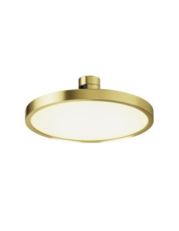 Maytoni Plato LED Flarity Rail Plate Lamp 400lm 2700K Brass TR153-1-10W2.7K-BS-DE