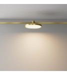 Flarity System Lamps - Maytoni Plato LED Flarity Rail Plate Lamp 400lm 2700K Brass TR153-1-10W2.7K-BS-DE - product 6
