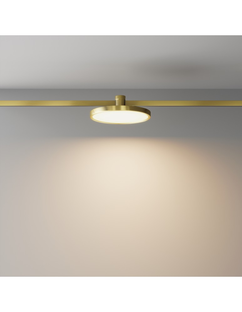 Flarity System Lamps - Maytoni Plato LED Flarity Rail Plate Lamp 400lm 2700K Brass TR153-1-10W2.7K-BS-DE - product kolory-swiatla.pl 6