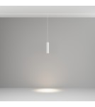 Magnetic rail lamps - Maytoni Focus LED Pendant Rail Lamp 900lm 2700K-6000K Exility White TR041-4-12WTW-DD-W - product 5