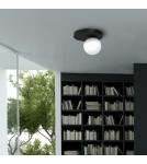 Ceiling lamps spheres - Milagro BIBIONE 1xG9 ceiling lamp MLP8389 - product 7