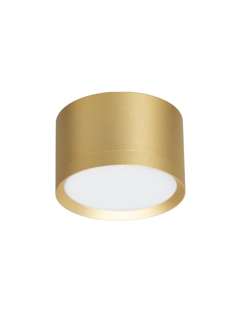 Round ceiling luminaires - Milagro Cyclops Spot Luminaire Gold 1xGx53 ML1202 - product kolory-swiatla.pl 2