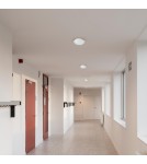 LED Plafonds - Milagro Plafond Fury 1xE27 EKP1301 - product 5