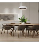 Pendant lamps circles - Milagro ORBITA 52W LED pendant lamp ML1186 - product 3