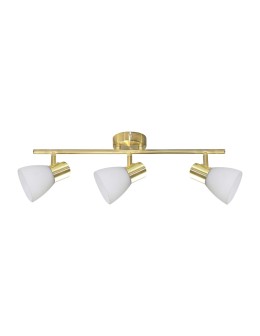 Milagro JOTA 3xE14 ceiling lamp ML1062