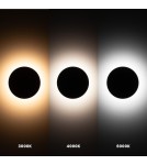 LED wall lamps - Milagro Disk wall lamp 12W 3CCT IP65 Black ML1286 - product 8