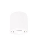 LED ceiling luminaires - Maxlight Fix 6W White Ceiling Lamp C0256 - product 1