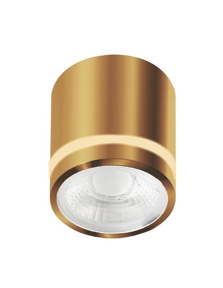 Hermetic ceiling luminaires - Azzardo Ceiling Hermetic VICI IP44 12W CCT SWITCH GO Gold Gloss 1xLED Light Color Change Switch AZ6041 - product kolory-swiatla.pl 1