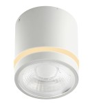 Hermetic ceiling luminaires - Azzardo Ceiling Hermetic VICI IP44 12W CCT SWITCH WH White 1xLED Light Color Change Switch AZ6040 - product 1
