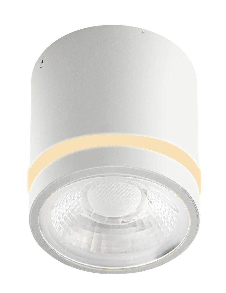 Hermetic ceiling luminaires - Azzardo Ceiling Hermetic VICI IP44 12W CCT SWITCH WH White 1xLED Light Color Change Switch AZ6040 - product kolory-swiatla.pl 1