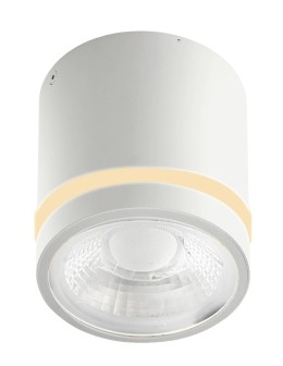 Azzardo Sufitowa Hermetyczna VICI IP44 12W CCT SWITCH WH Biały 1xLED Przełącznik Zmiany Barwy Światła AZ6040