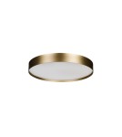 LED ceiling lamps - Azzardo RANT 40 CCT SWITCH DIMM GO Gold 1xLED Light Color Change Switch Dimming Option AZ6326 - product 1