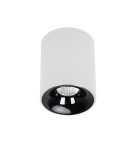 Ceiling downlights - tubes - Light Prestige Tom white LED CCT surface-mounted luminaire LP-4848/1RM WH - product 1