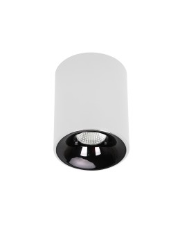 Light Prestige Oprawa natynkowa Tom biała LED CCT LP-4848/1RM WH