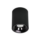Ceiling downlights - tubes - Light Prestige Tom black LED CCT surface-mounted luminaire LP-4848/1RM BK - product 1