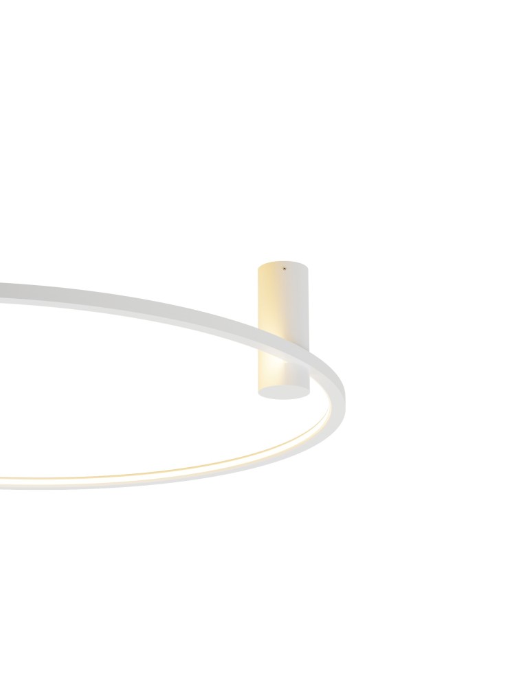 Ring ceiling lamps - YASKR Plafond Ringa M 1xLED white CL0112-M-WH White - product kolory-swiatla.pl 5