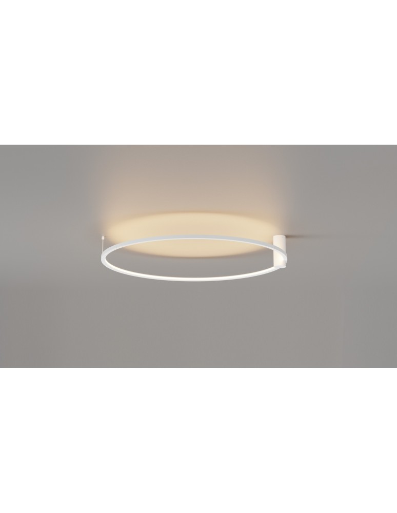 Ring ceiling lamps - YASKR Plafond Ringa L 1xLED white CL0112-L-WH White - product kolory-swiatla.pl 4