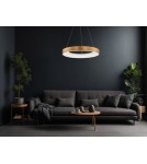 Pendant lamps with control - Luces Exclusivas TOME SMART Pendant LED 50W 3250lm 3000K Dimmable Brushed Gold LE41517 - product 3