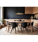 Pendant lamps - Luces Exclusivas VALLES Pendant Modern Black 1xLED max 47W 3000K LE42806 - product 3