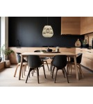 Single pendant lamps - Luces Exclusivas REYNOSA Pendant Modern other 1xE27 max 12W LE42950 - product 4