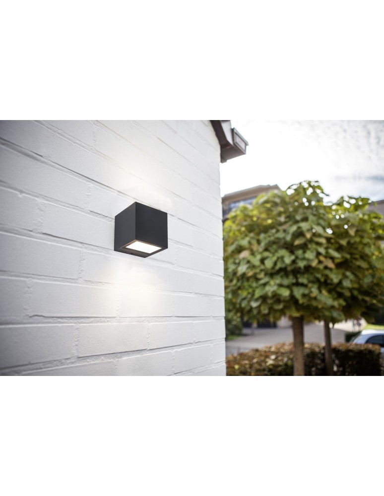 Outdoor wall lamps - Lutec Outdoor Wall Mounted GEMINI 5189114118 - product kolory-swiatla.pl 3