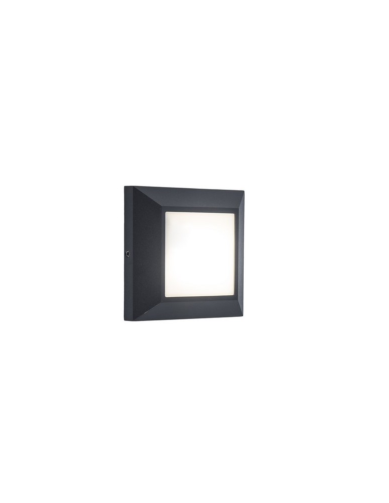 Outdoor wall lamps - Lutec Outdoor Wall Mounted HELENA 6402101118 - product kolory-swiatla.pl 1