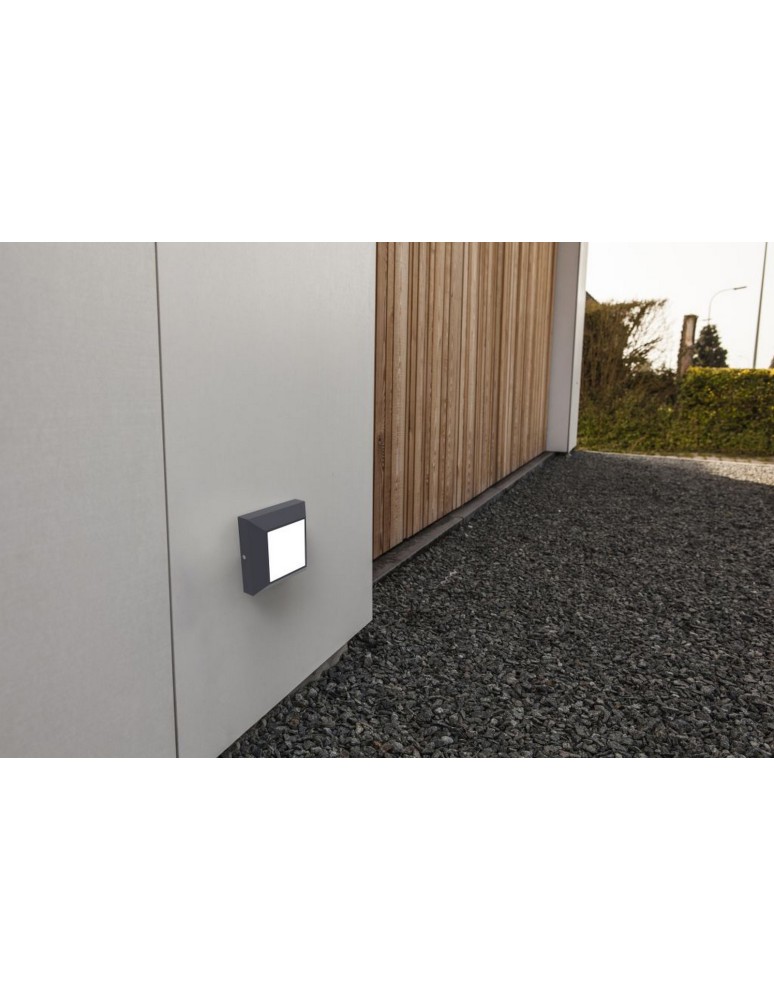 Outdoor wall lamps - Lutec Outdoor Wall Mounted HELENA 6402101118 - product kolory-swiatla.pl 2
