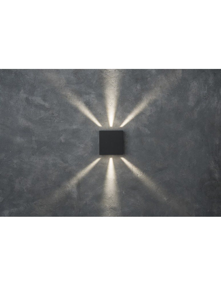 Outdoor wall lamps - Lutec Outdoor Wall Mounted GEMINI 5104005118 - product kolory-swiatla.pl 7