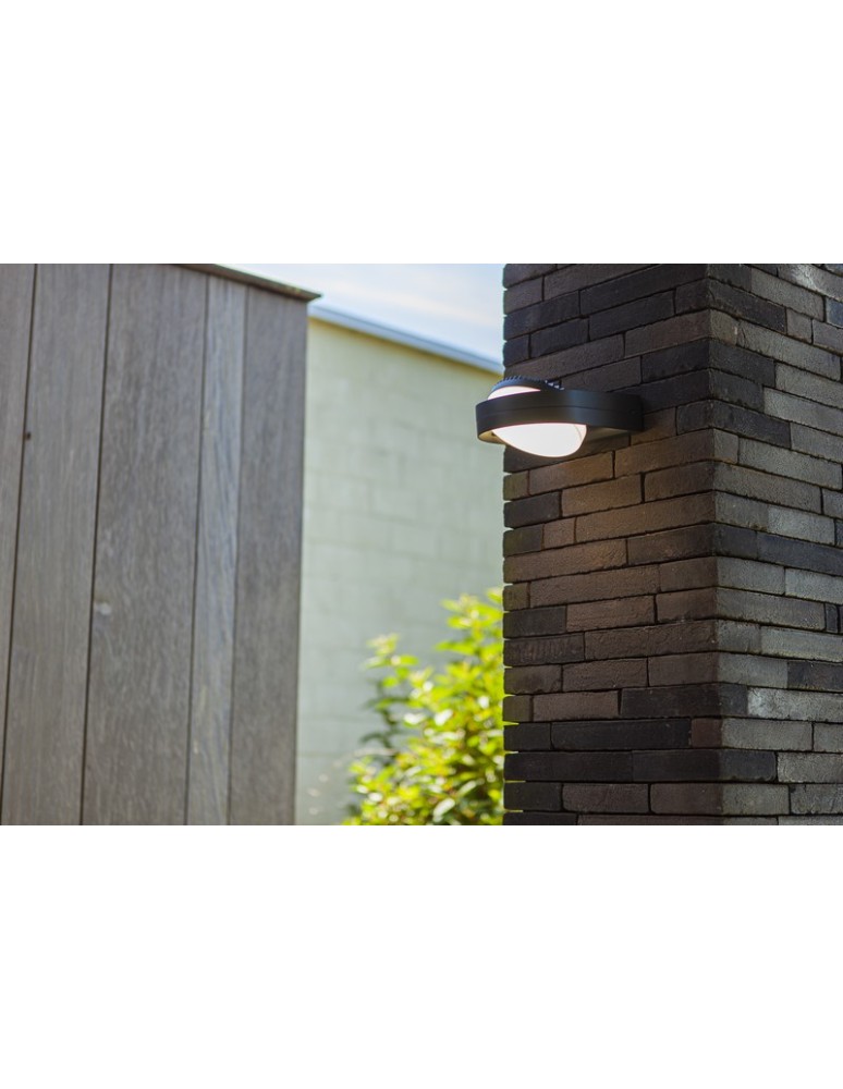 Outdoor wall lamps - Lutec Outdoor Wall FELE 5196301118 - product kolory-swiatla.pl 3