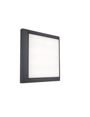 Lutec Outdoor Wall Mounted HELENA 5102101118