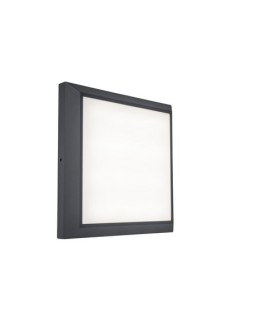 Lutec Outdoor Wall Mounted HELENA 5102101118