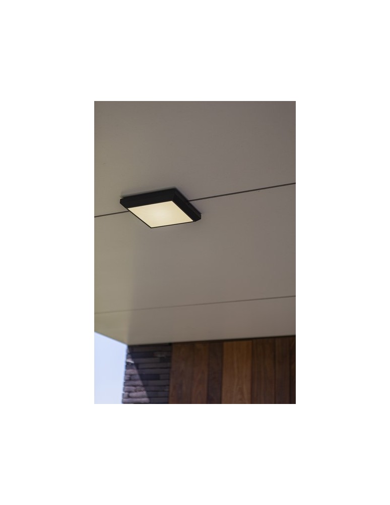 Outdoor wall lamps - Lutec Outdoor Wall Mounted HELENA 5102101118 - product kolory-swiatla.pl 2