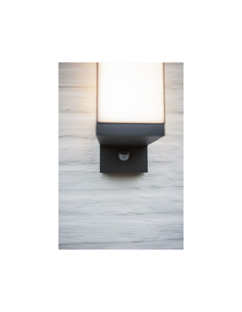 Outdoor lights with motion sensor - Lutec Outdoor Wall Mounted CUBA - MOVEMENT SENSOR 5193811118 - product kolory-swiatla.pl 2