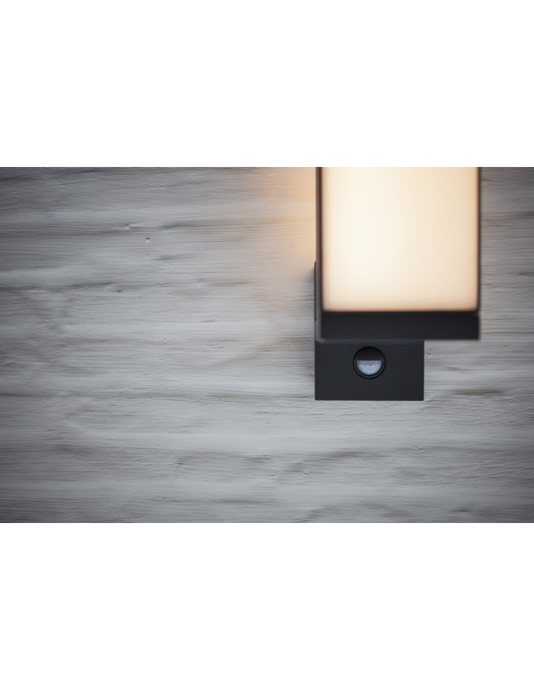 Outdoor lights with motion sensor - Lutec Outdoor Wall Mounted CUBA - MOVEMENT SENSOR 5193811118 - product kolory-swiatla.pl 5