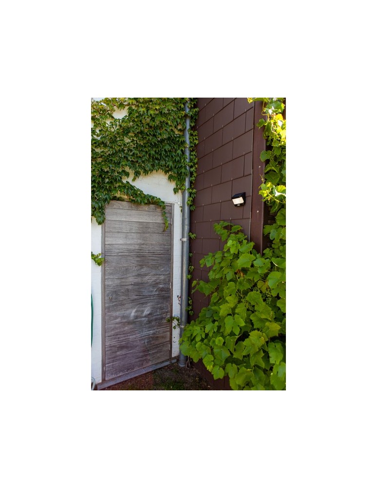 Solar lamps - Lutec Outdoor Solar TRY - MOVEMENT SENSOR 6939101330 - product kolory-swiatla.pl 2