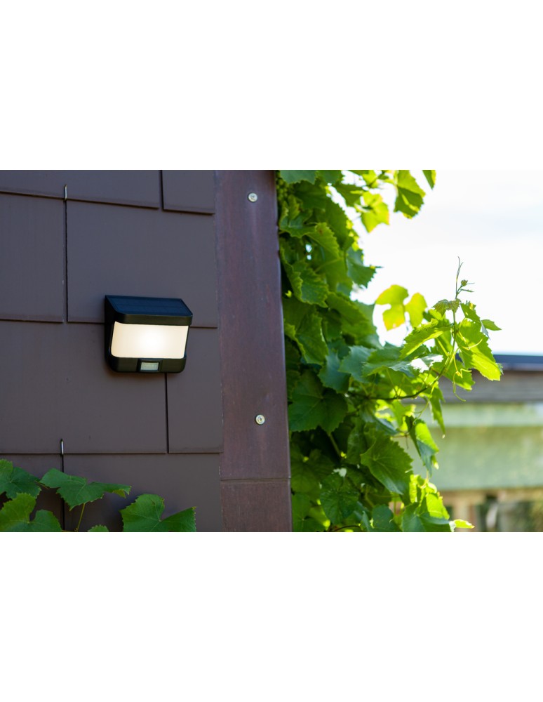 Solar lamps - Lutec Outdoor Solar TRY - MOVEMENT SENSOR 6939101330 - product kolory-swiatla.pl 3