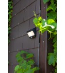 Solar lamps - Lutec Outdoor Solar TRY - MOVEMENT SENSOR 6939101330 - product 4