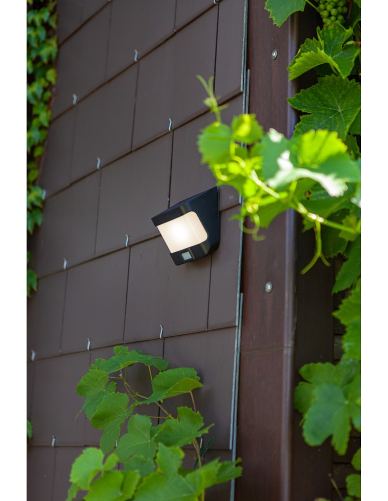 Solar lamps - Lutec Outdoor Solar TRY - MOVEMENT SENSOR 6939101330 - product kolory-swiatla.pl 4