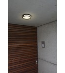 Outdoor ceiling lamps - Lutec Outdoor Ceiling ROLA 6382201012 - product 2