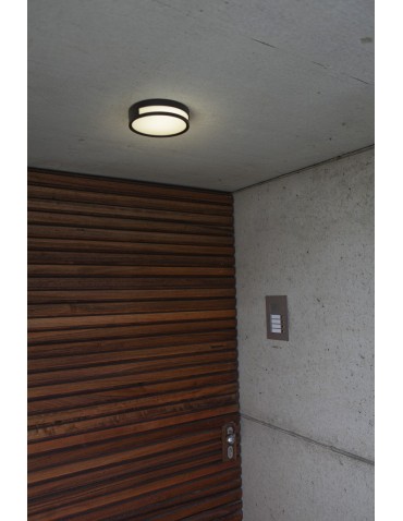 Lutec Outdoor Ceiling ROLA 6382201012 - product 2