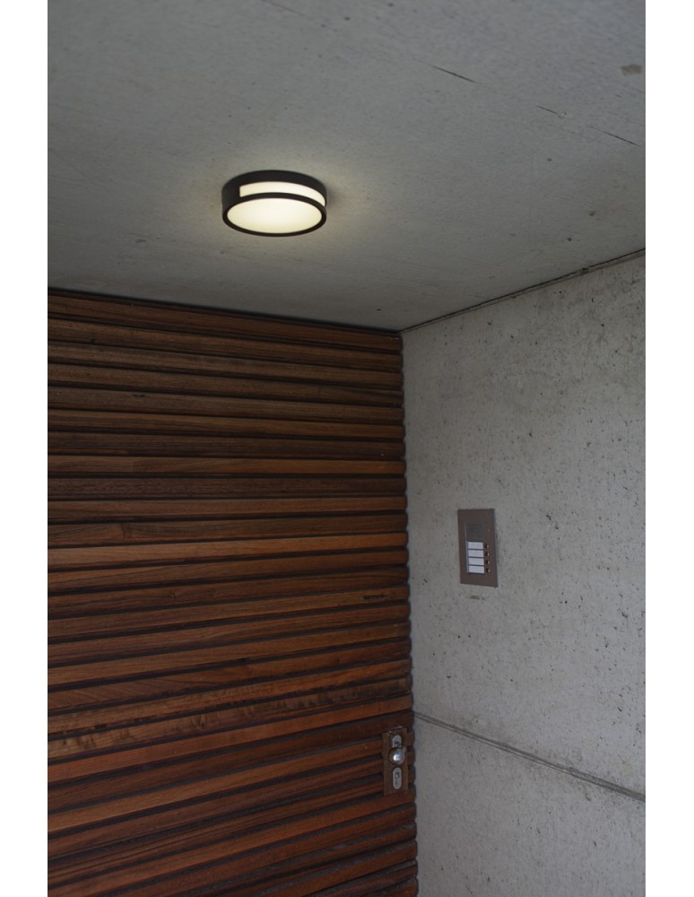 Outdoor ceiling lamps - Lutec Outdoor Ceiling ROLA 6382201012 - product kolory-swiatla.pl 2