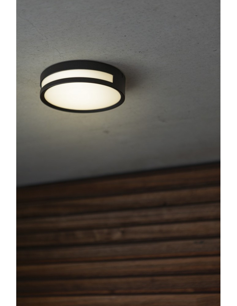 Outdoor ceiling lamps - Lutec Outdoor Ceiling ROLA 6382201012 - product kolory-swiatla.pl 3