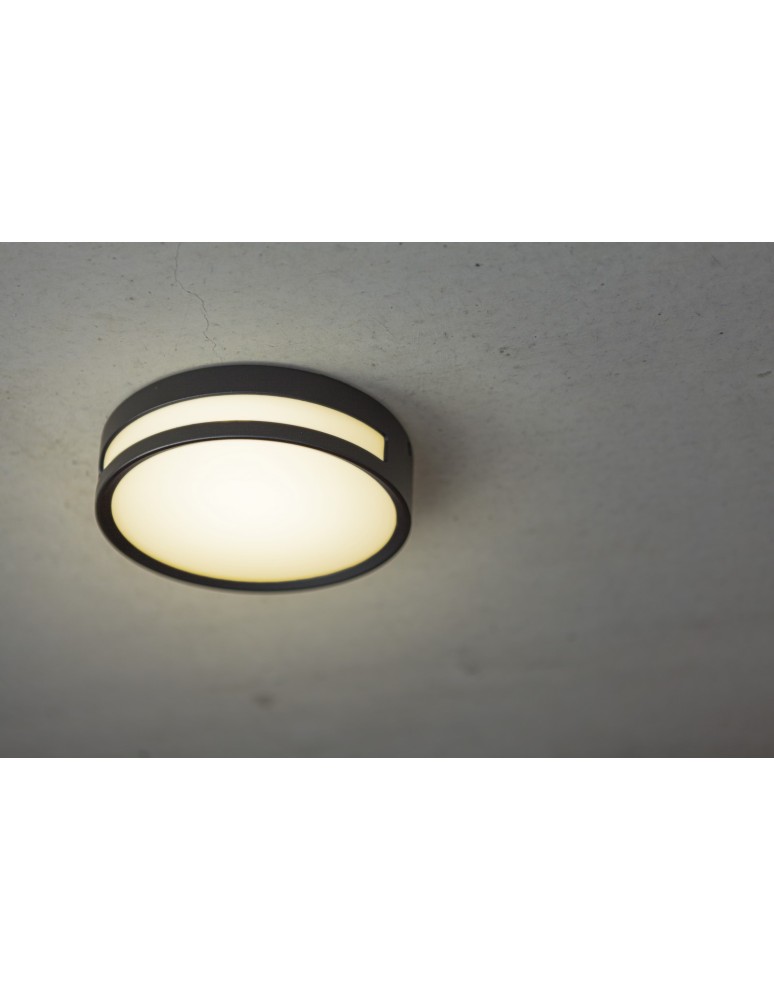 Outdoor ceiling lamps - Lutec Outdoor Ceiling ROLA 6382201012 - product kolory-swiatla.pl 4