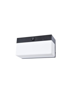Lutec Outdoor Wall Mounted FRAN 6941502330