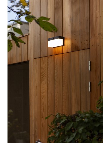 Lutec Outdoor Wall Mounted FRAN 6941502330 - product 2