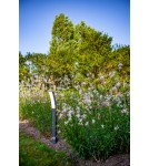 Standing garden lamps - Lutec Outdoor Standing KIRA 7288906118 - product 3