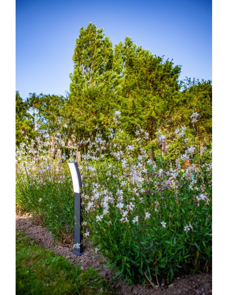 Standing garden lamps - Lutec Outdoor Standing KIRA 7288906118 - product kolory-swiatla.pl 3